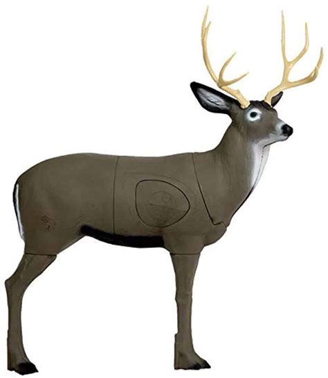 best 3d target for deer.